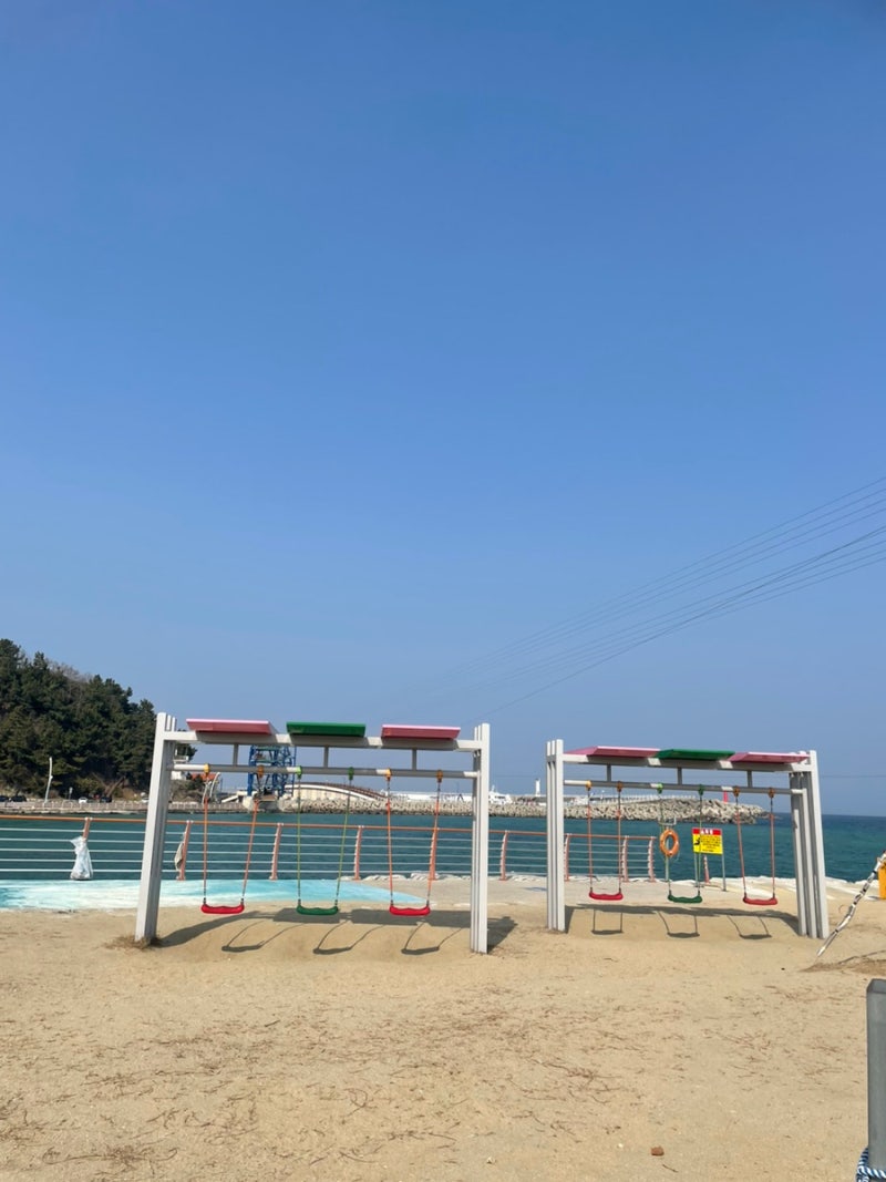 🚴‍♀️ 강릉 자전거 트래킹 필수 코스 6곳 – 커피 향 따라 달리는 해변길, 자연과 감성의 완벽한 조화